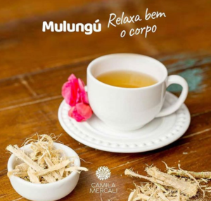 Mulungu Relaxa bem o Corpo