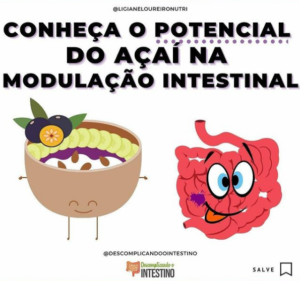 Conheça o Potencial do Açaí na Modulação Intestinal