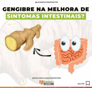 Gengibre na Melhora dos Sintomas Intestinais?