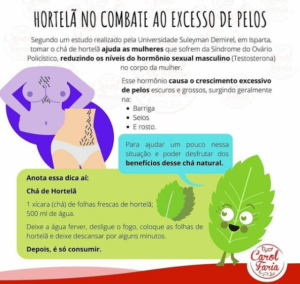 Hortelã no Combate ao Excesso de Pêlos