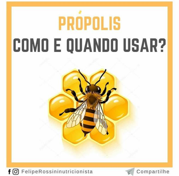 Própolis - Como e Quando Usar?