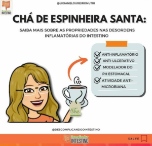 cha de espinheira santa