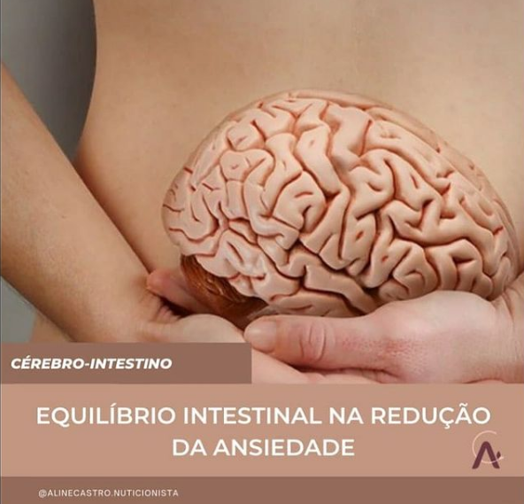 equilibrio intestinal na reducao da ansiedade