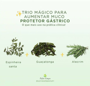trio magico para aumentar muco protetor gastrico