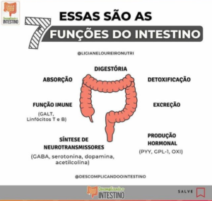 7 Funções do Intestino