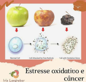 Estresse Oxidativo e Câncer