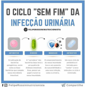 O Ciclo "Sem Fim" da Infecção Urinária