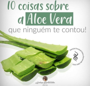 10 Coisas sobre a Aloe Vera que Ninguém te Contou!