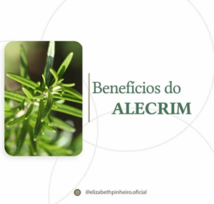 Benefícios do Alecrim