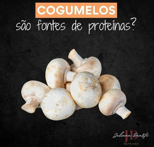 cogumelos sao fontes de proteinas