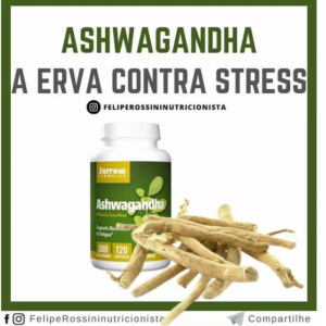Ashwaganhda - A Erva contra o Stress