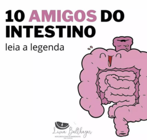 10 amigos do intestino