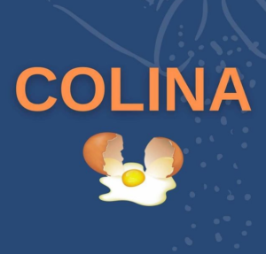 Saiba Mais sobre a Colina