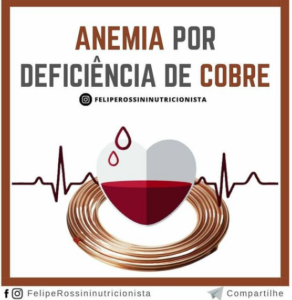 anemia-por-deficiencia-de-cobre