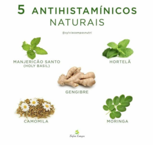 5 antihistaminicos naturais