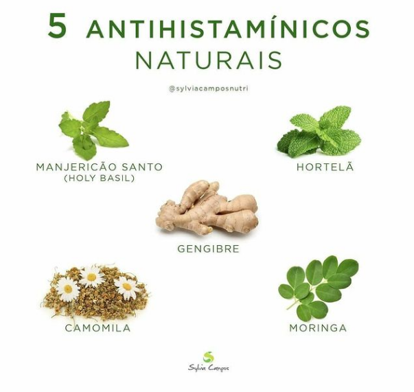 5 antihistaminicos naturais