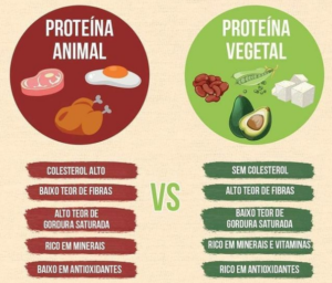 proteina animal vs proteina vegetal