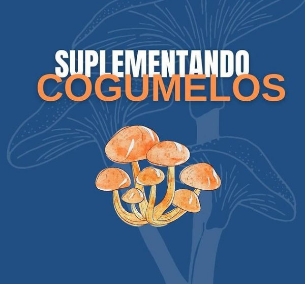 suplementando cogumelos