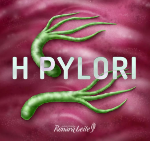 sobre h pylori