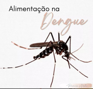alimentaca na dengue