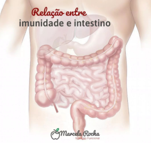 Relação entre Imunidade e Intestino