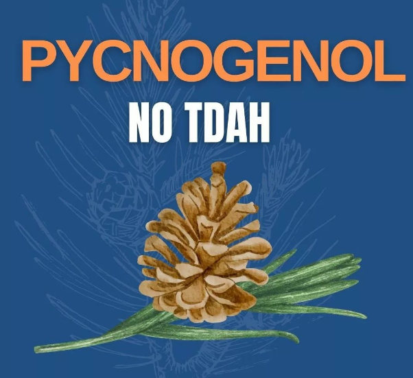 Pycnogenol no TDAH