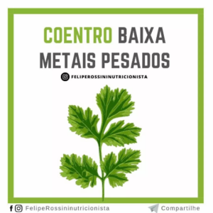 Coentro Baixa Metais Pesados