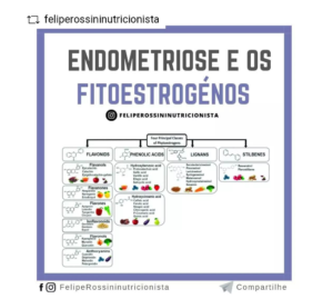 Endometriose e os Fitoestrógenos