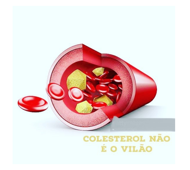 colesterol nao e o vilao