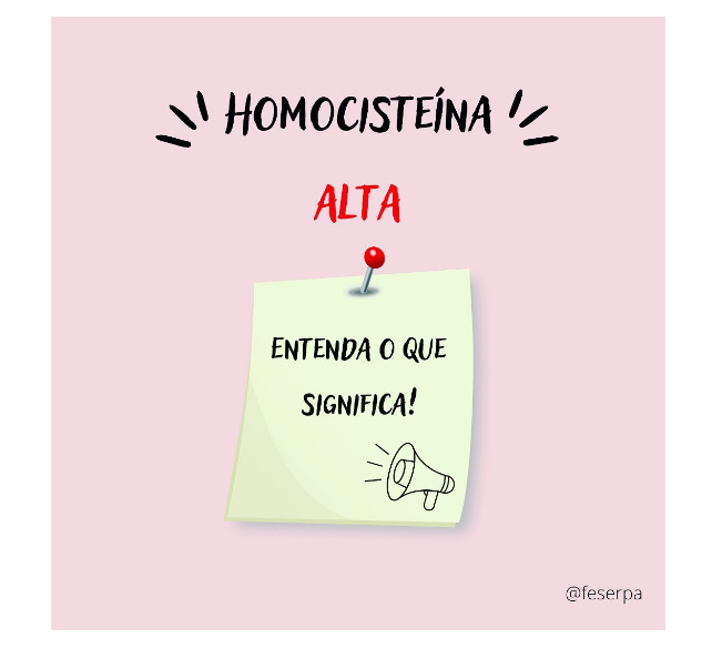 homocisteina alta entenda o que significa