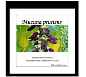 sobre mucuna pruriens