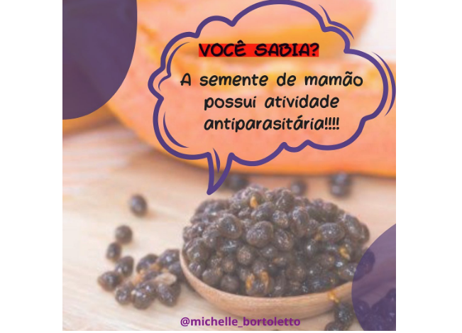semente de mamao atividade antiparasitaria