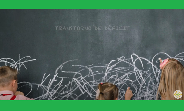 Conheça os Suplementos no Déficit de Atenção e Hiperatividade