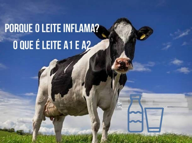 porque o leite inflama leite a1 a2
