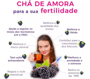 Chá de Amora para sua Fertilidade