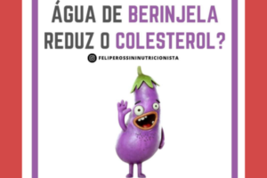Água de Berinjela Reduz o Colesterol
