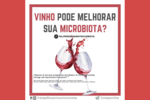 Vinho pode Melhorar sua Microbiota?