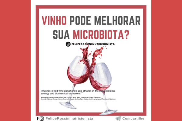 Vinho pode Melhorar sua Microbiota?