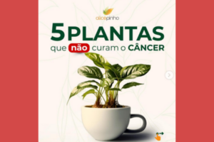 5 Plantas que Não Curam o Câncer