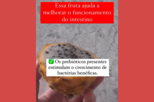 Pé de Pitaya e Benefícios Intestinal