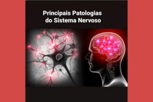 Principais Patologias do Sistema Nervoso