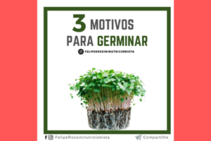 3 Motivos para Germinar