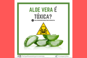 Aloe Vera é Tóxica?