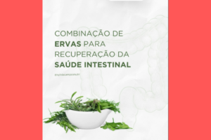 Ervas para Recuperação da Saúde Intestinal