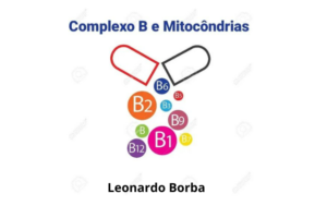 Complexo B e Mitocôndrias