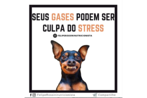 Seus Gases podem ser Culpa do Stress