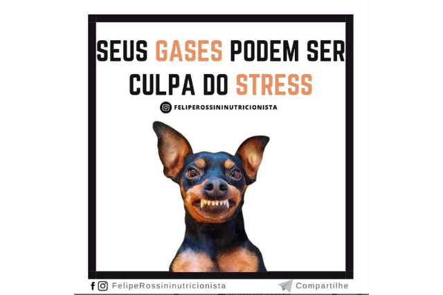 Seus Gases podem ser Culpa do Stress