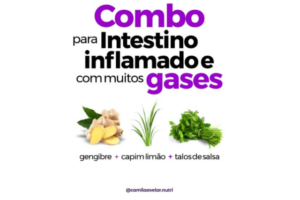 combo intestino inflamado e com muitos gases