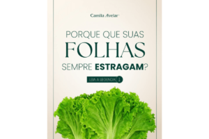 Porque suas Folhas sempre Estragam?