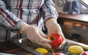 Curso Manipulação de Alimentos na Segurança Alimentar